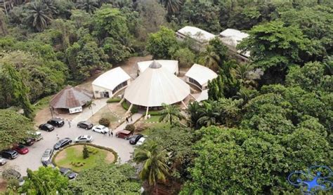 Lekki Conservation Centre: En Överraskande Oas Mitt I Lagos' Hänsynslösa Rörelse!