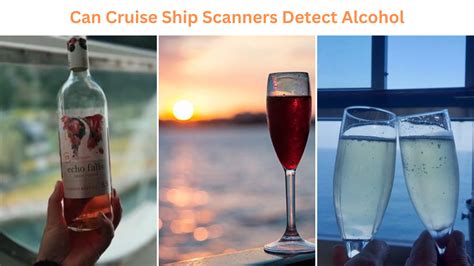 Can Cruise Ship Scanners Detect Alcohol? Exploring the Intricacies of Security and Personal Freedom