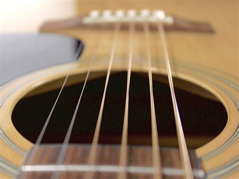 What Are Electric Guitar Strings Made Of? And Why Do They Sometimes Smell Like Rainforests?