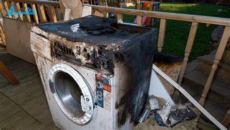 What Happens If You Run an Electric Dryer Without a Vent: And Why Do Cats Always Sit on Laundry?